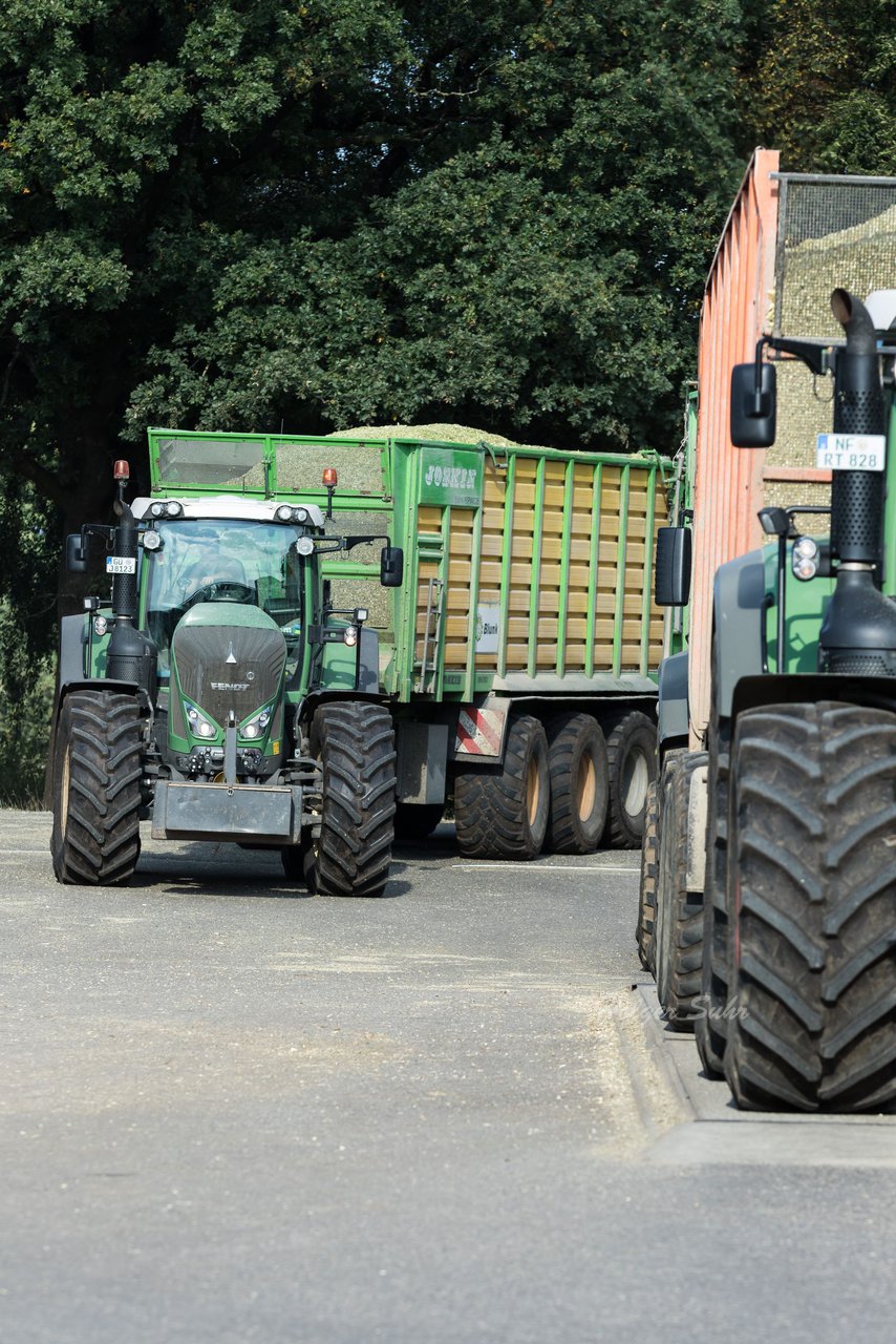 Bild 147 - Maisernte